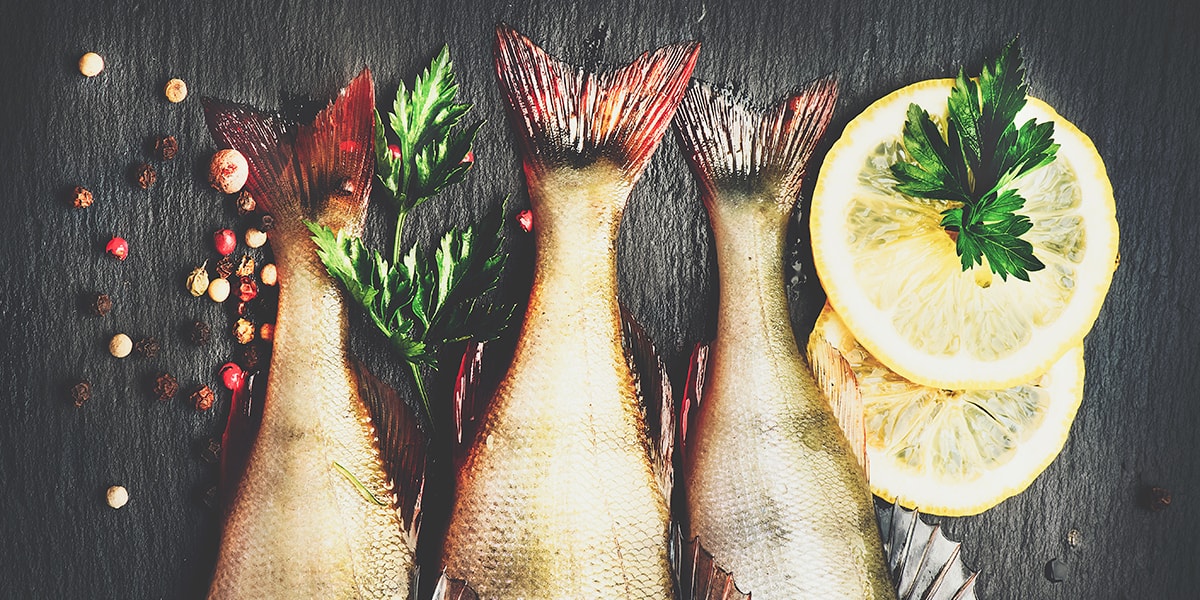 Fish! Discover all the benefits